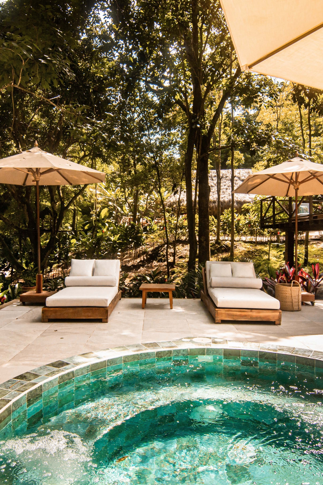 In the foreground, a small pool with green water. Around it is a wooden deck with two white lounge chairs and a white umbrella, and in the background is dense green jungle.