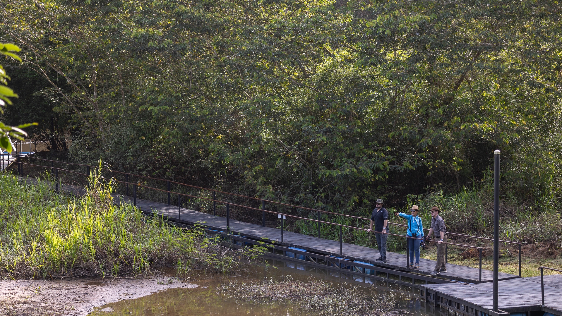 Two people, one in a bright blue jacket, standing on an outdoor raised walkway that runs over a body of water and next to some trees and tall grass.