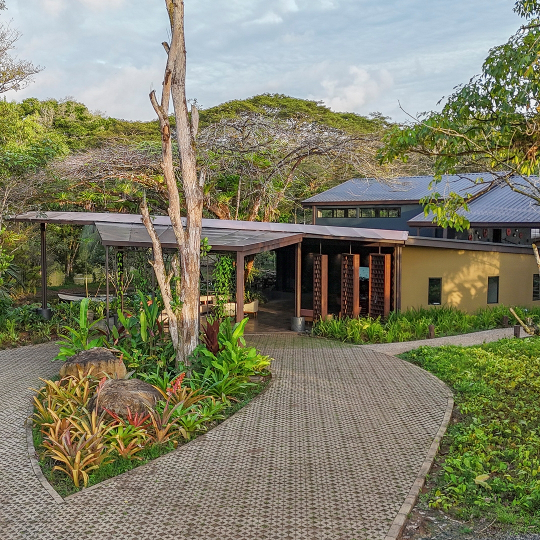 The entry driveway to a hotel with a brick drive and centre island with greenery, rocks and a tree trunk. In the background is a yellow building with an open terrace and green trees and a hill behind it.