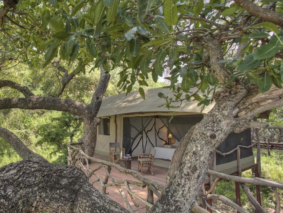 The exterior of tent perched among the trees at Sarara Treehouses.