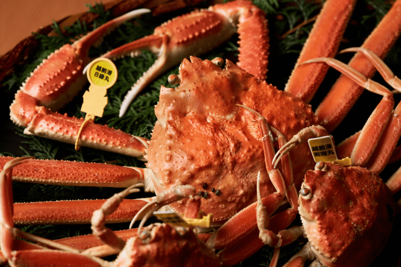 Close-up of a whole crab