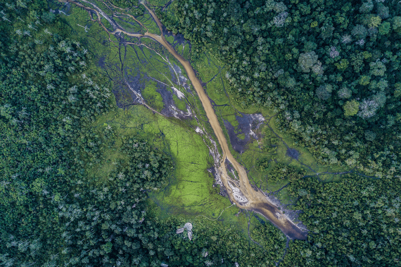 Birds-eye view of the waterways and green rainforests of the Lango baï
