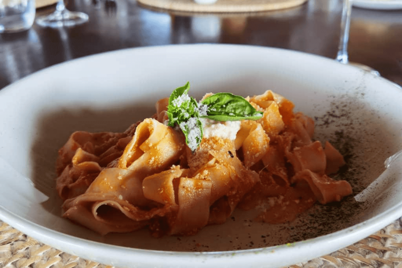 Close-up of pasta with tomato sauce, parmesan cheese and basil