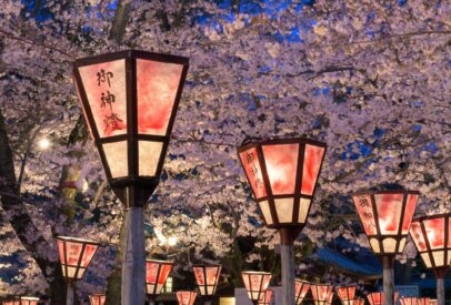 “Cherry Blossom of Japan” Luxury Tour