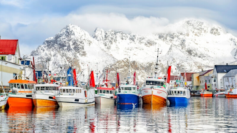 Colorful fishing boats docked in a harbor in front of massive snow-covered mountains under a cloudy sky.