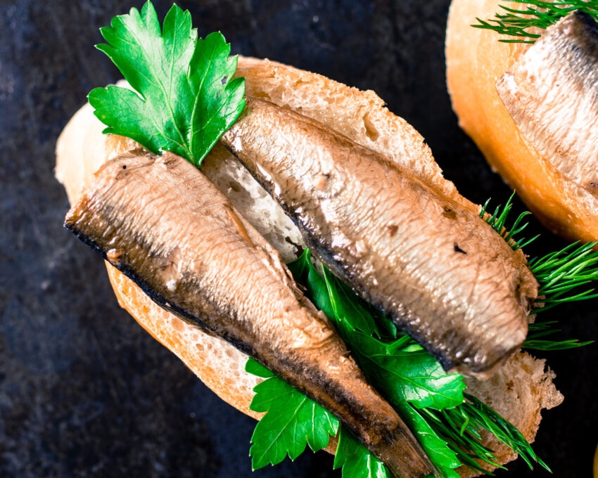 Fish tapas in Reykjavic, Iceland