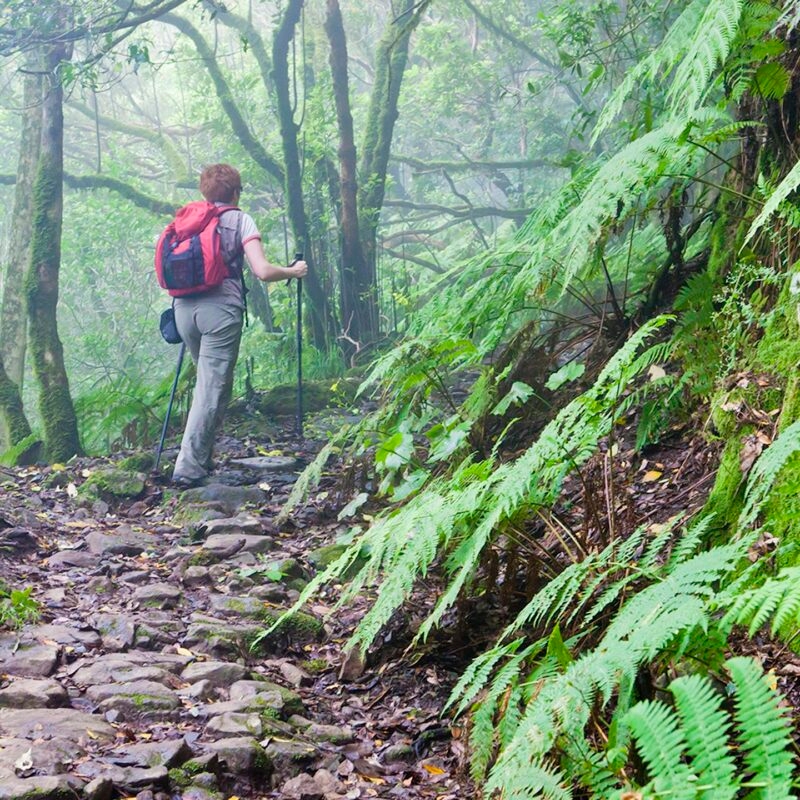 A woman with a red backpack hikes on a stone path through a misty, dense green forest, an option for luxury Spain tours.