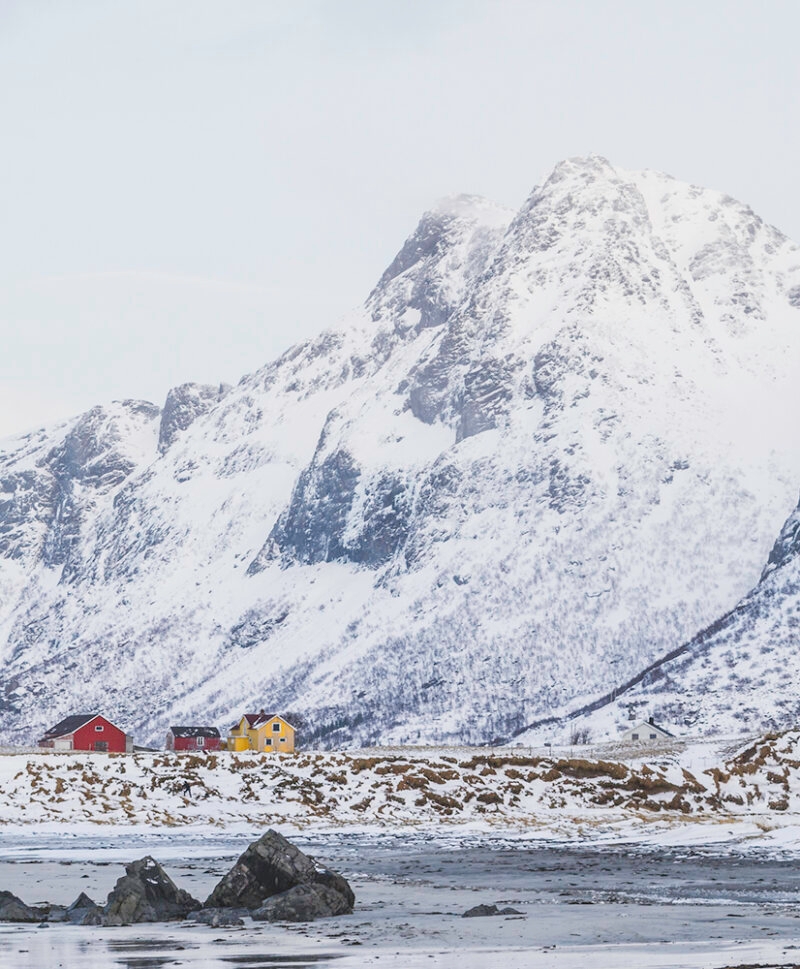 Snowy mountain over colourful Norwegian buildings in Lofoten