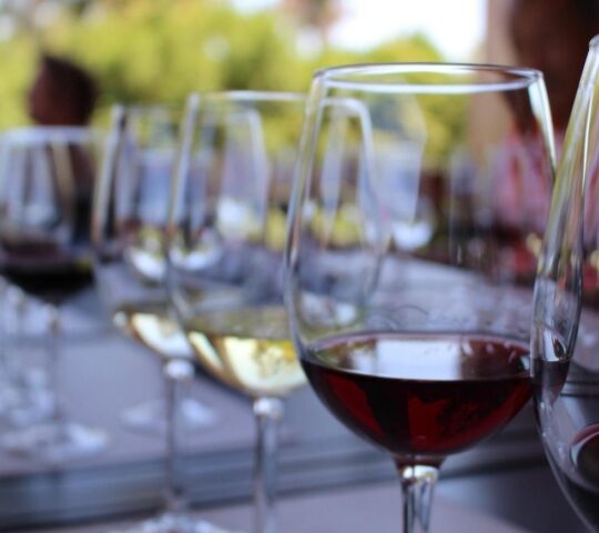 Row of wine glasses with red and white wine, focused on the foreground glass, with a blurred background.
