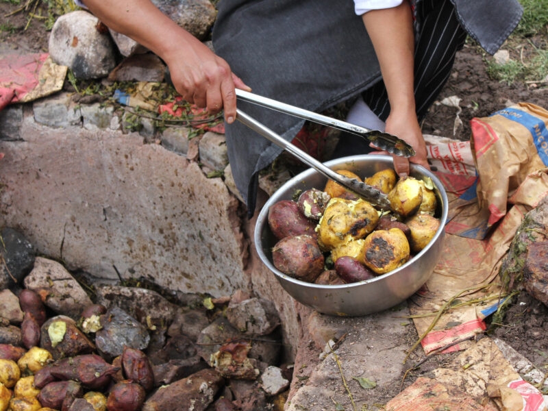 Person cooking potatoes over stones, with tongs holding a potato.