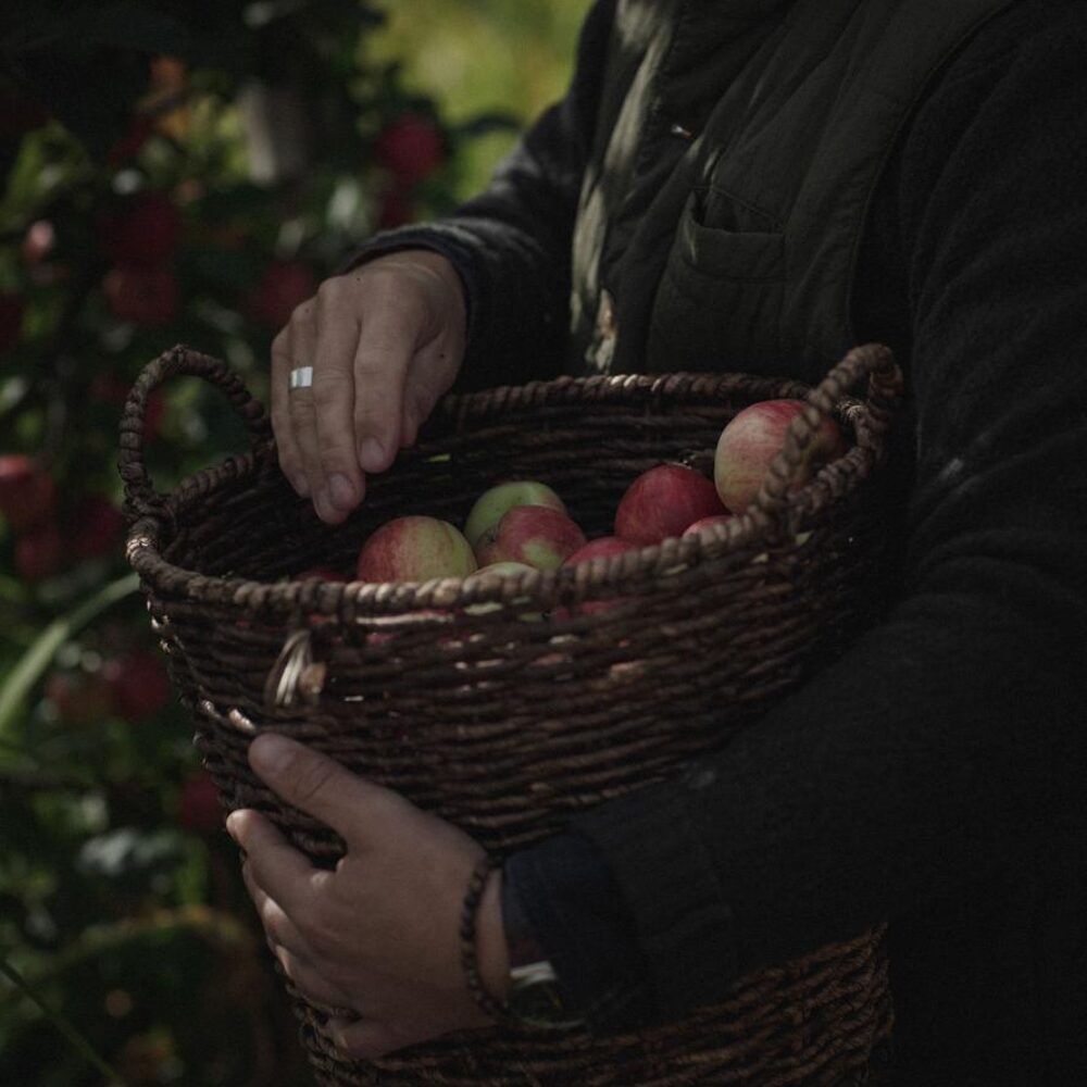 A person placing apples into a basket.