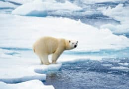 The Highlights of Norway and Svalbard by Sea