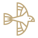 Authentic experiences illustration image