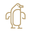 Authentic experiences illustration image