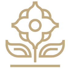 Positive impact illustration image