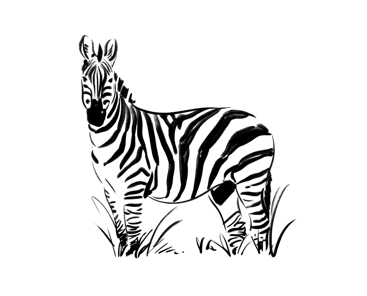 Safari expertise illustration image