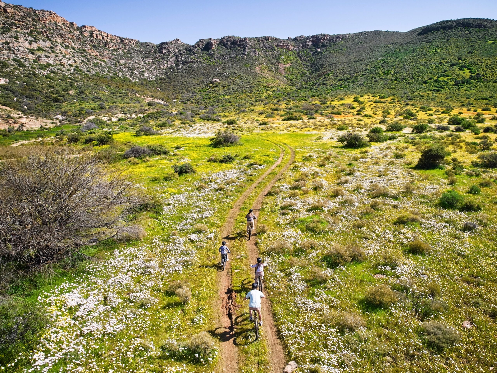Cyclists on a dirt path through a blooming wildflower meadow with hills in the backdrop.