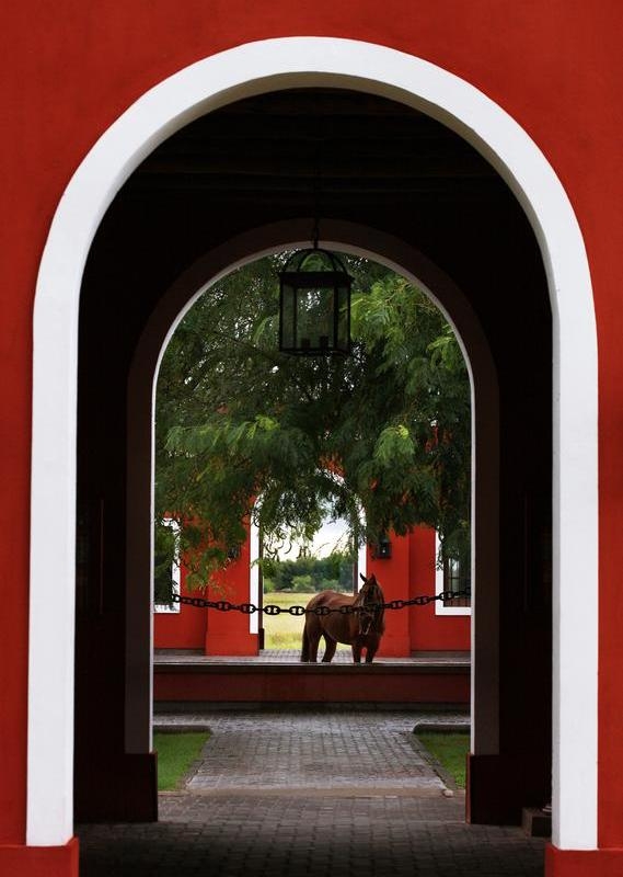 Archway framing a horse standing by a red building with a hanging lantern above.