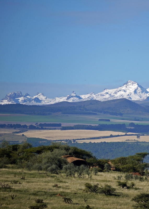 A wide landscape featuring a grassy foreground and distant snow-covered mountain peaks under a clear blue sky.