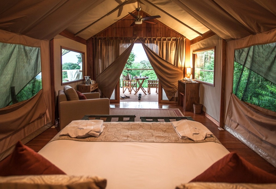 One of Galápagos Safari Camp's bedrooms overlooking the surrounding trees.