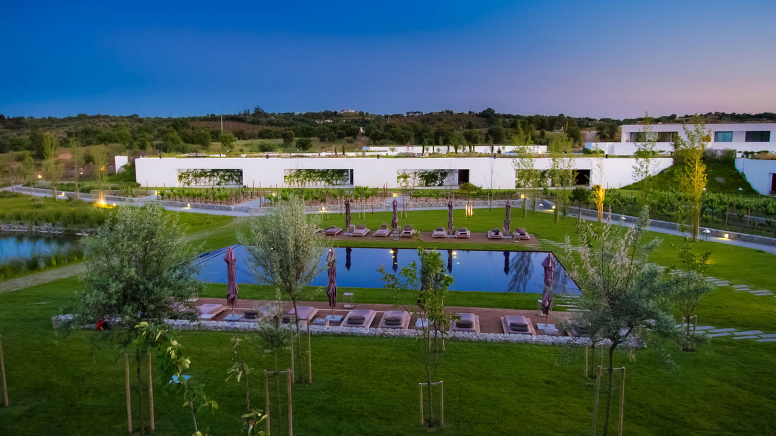 l-and-vineyards-pool