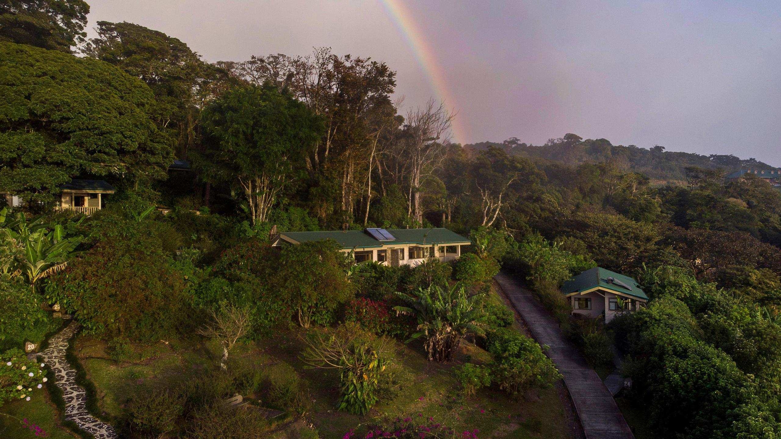 Aerial of Senda Monteverde Hotel which is tucked among trees.