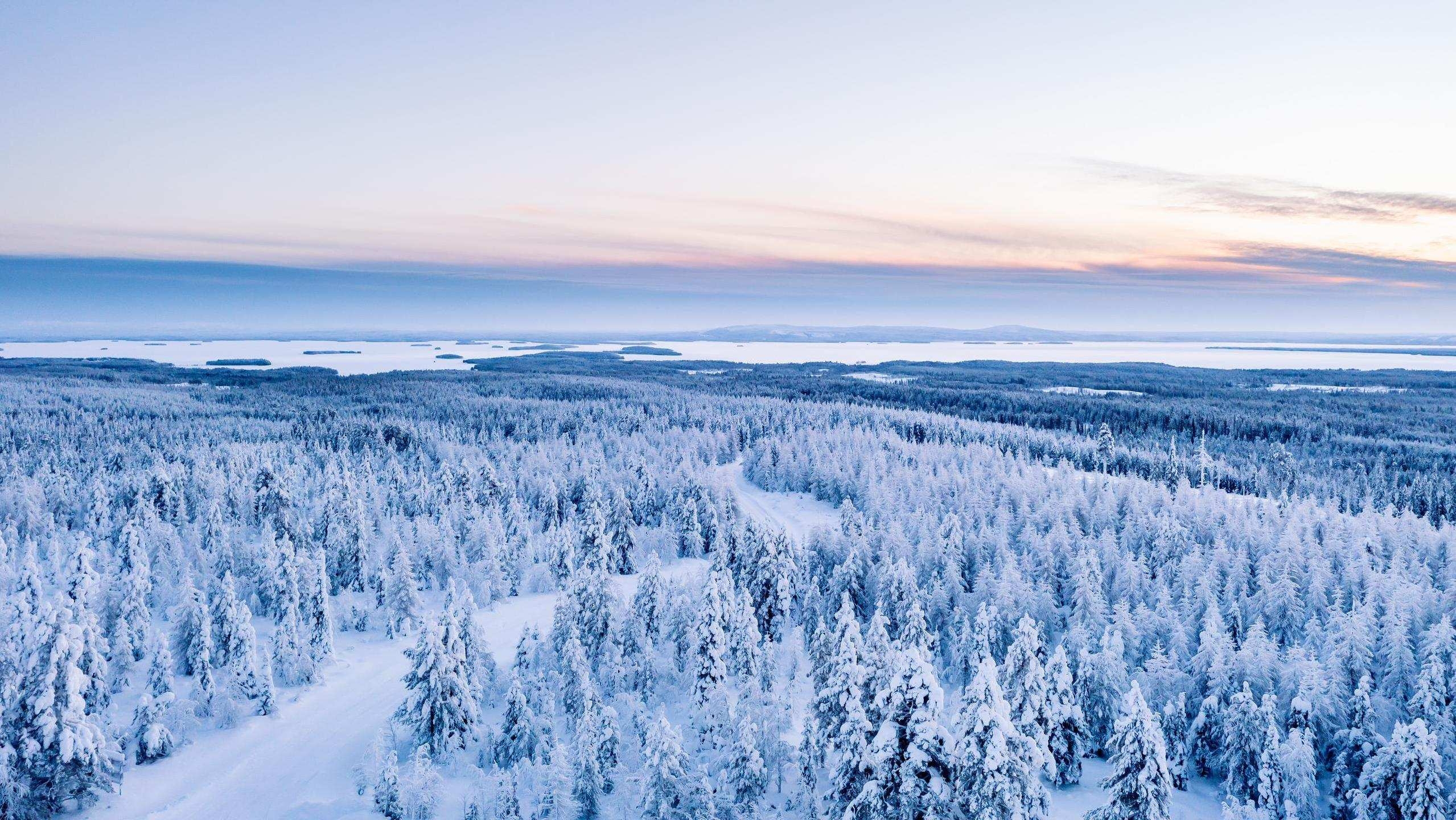 The Arctic vs Antarctic: Top 6 Differences