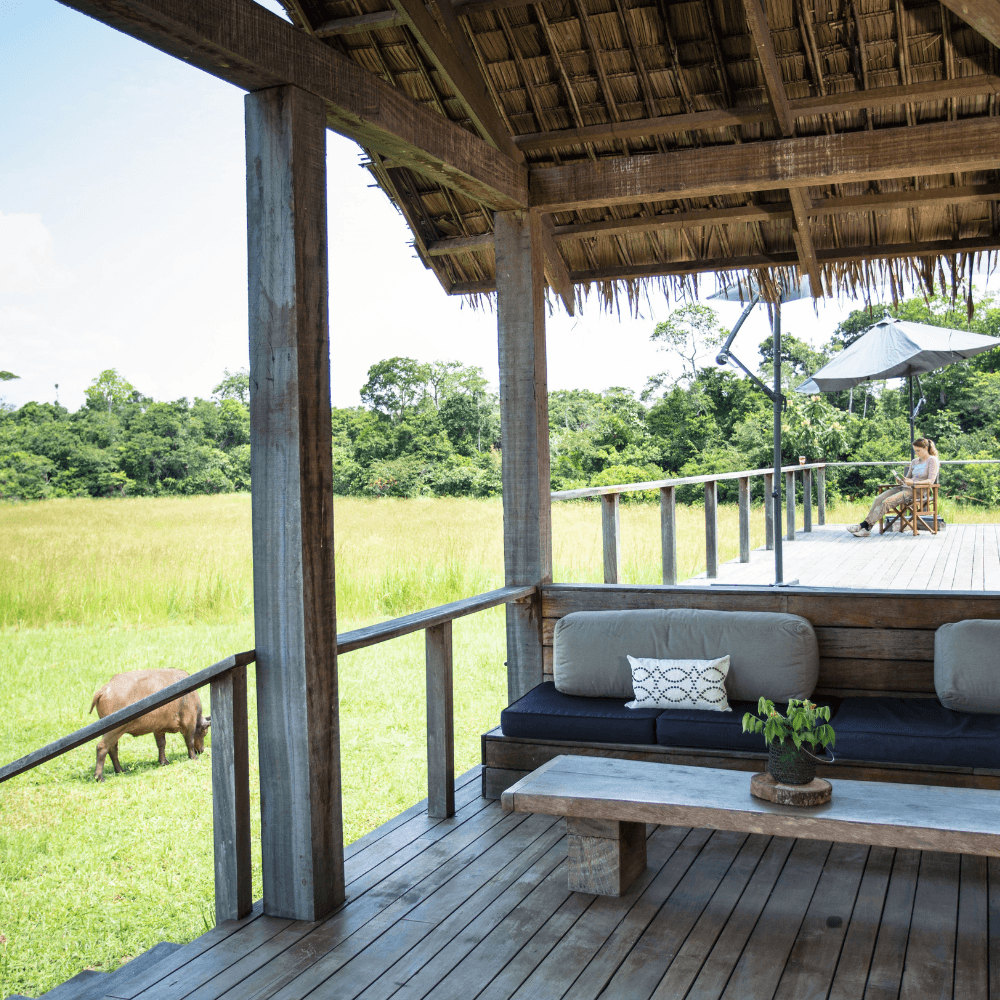 A covered porch with a woman reading and a grazing animal nearby
