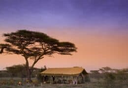Serengeti Under Canvas