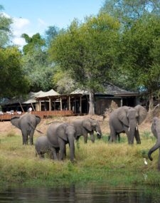 Wilderness Ruckomechi Camp