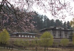 Bumthang Mountain Resort