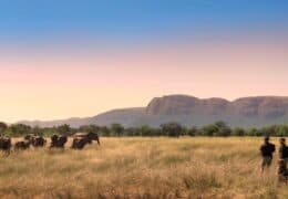 Marataba Private Reserve