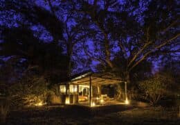 Wilderness Busanga Bush Camp