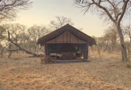 Chobe Under Canvas
