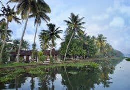 Philipkutty’s Farm