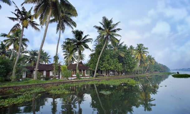 Philipkutty’s Farm