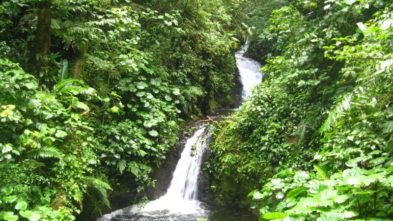 monteverde-costa-rica