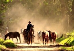 A Deep Exploration into Ecuador