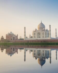 Indian Wildlife and Palaces