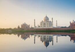 Indian Wildlife and Palaces