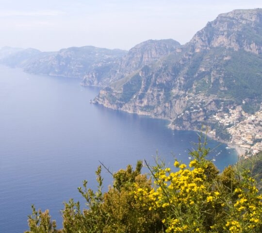 A wide shot of a steep coastline meeting the blue sea with yellow flowers in the foreground.