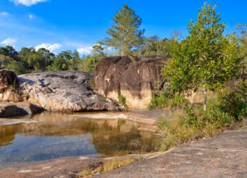 Mountain Pine Ridge thumbnail