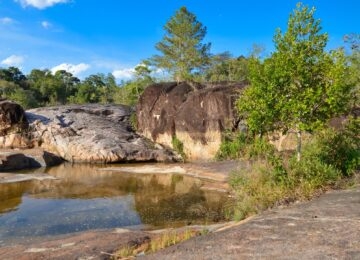 Mountain Pine Ridge thumbnail