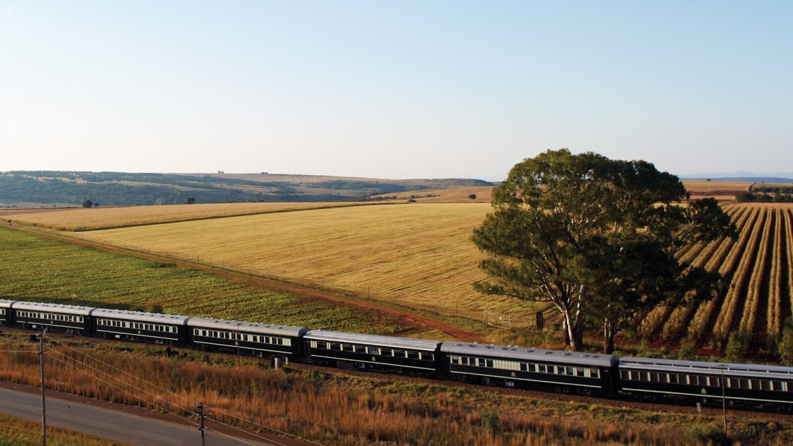 A passenger train for luxury South Africa rail travel moves past golden fields and a lone tree.