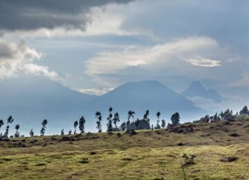 Mgahinga Gorilla National Park thumbnail