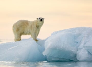 The Svalbard Islands thumbnail