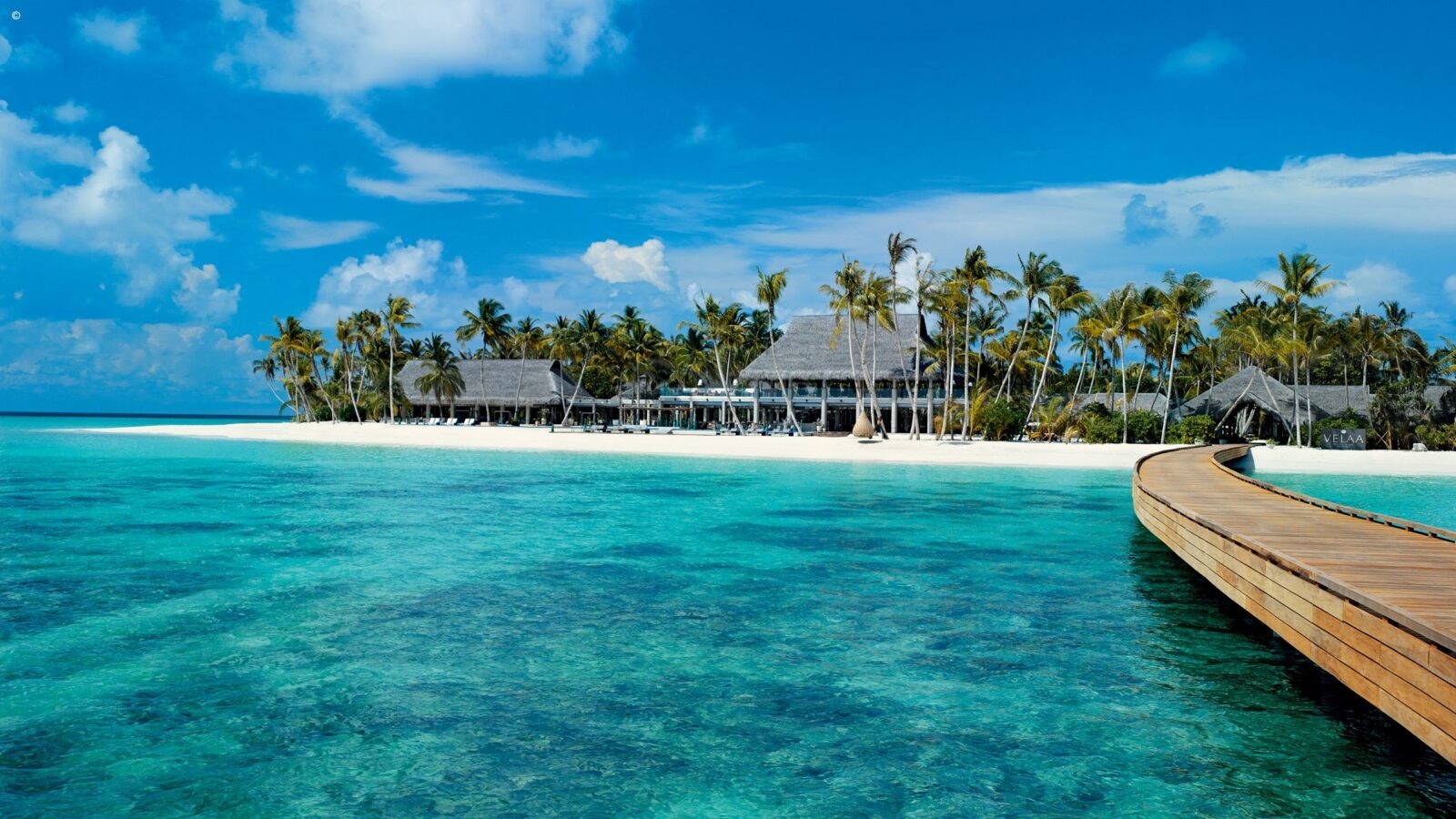An idyllic white sandy beach with palm trees and a wooden walkway