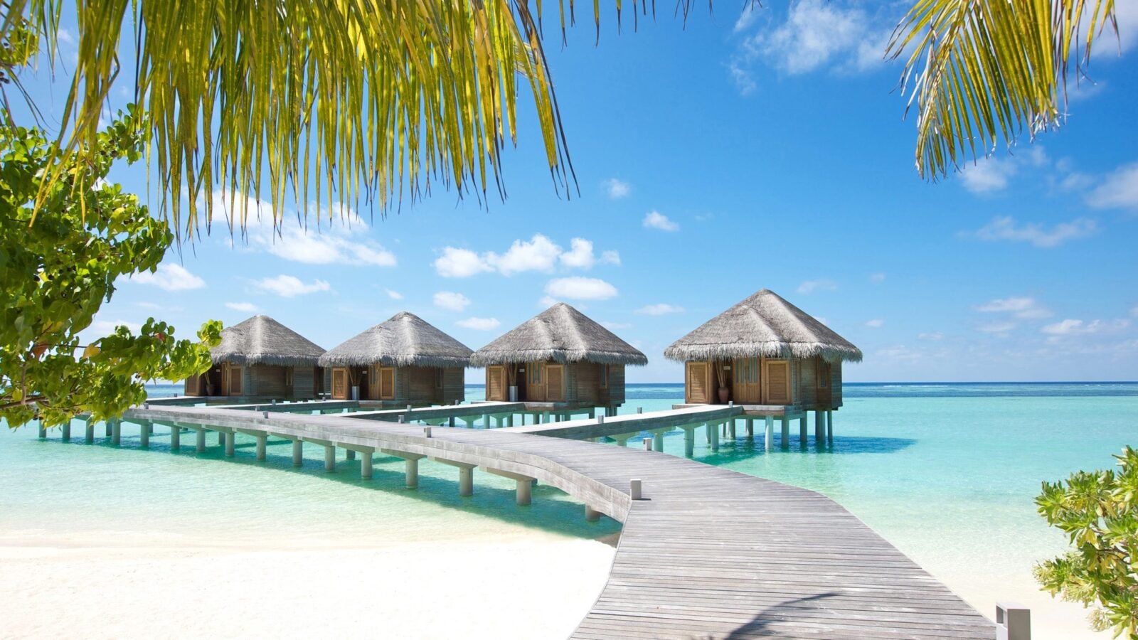 Overwater bungalows on a clear reef