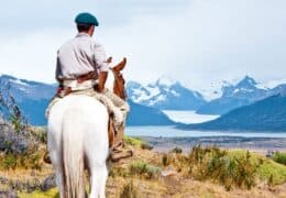 Under the Skin of Argentina