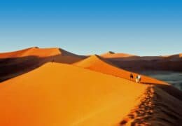 A Complete Namibian Safari